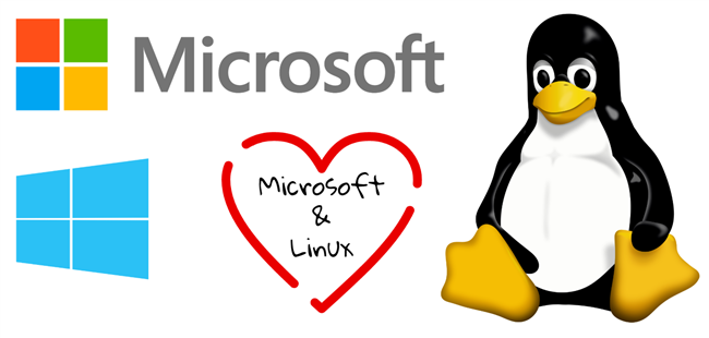 Microsoft and Windows Love Linux