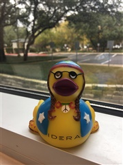 Become a Community Member to Score a New Duck!