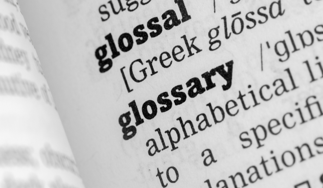 Building a Business Glossary: 7 Step Guide