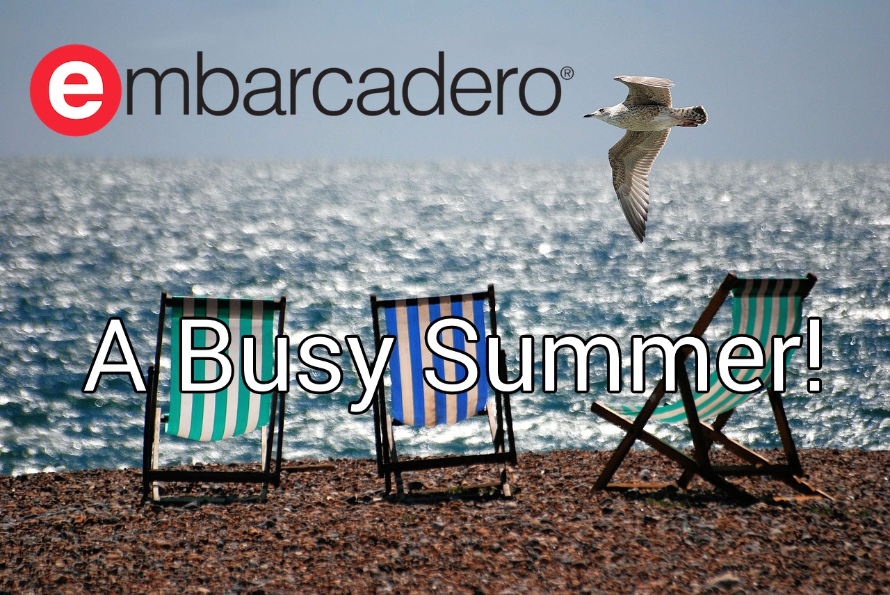 A Busy Summer