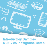 Multiview Navigation Demo (Delphi)