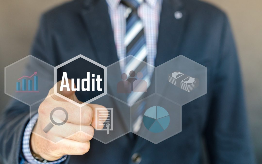 What the Regulatory Auditors Want to See