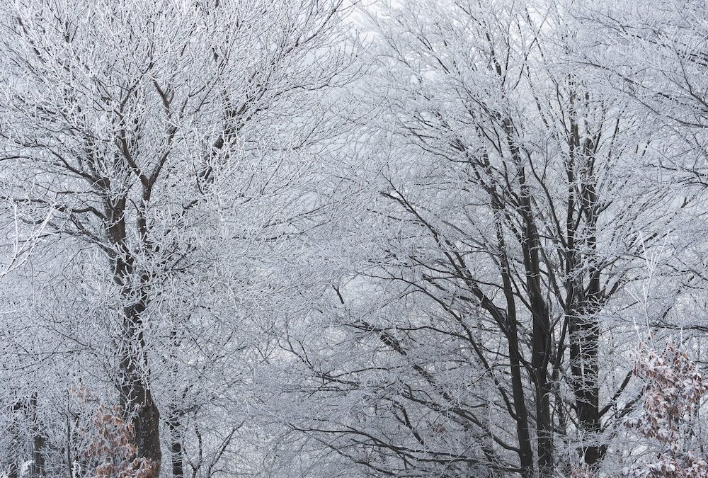 Is Your Disaster Recovery Plan Prepared for an Ice Storm?