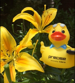 Smell Like Flowers With Ducky Indices