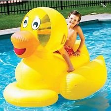 Where’s Your Duck Going This Summer?